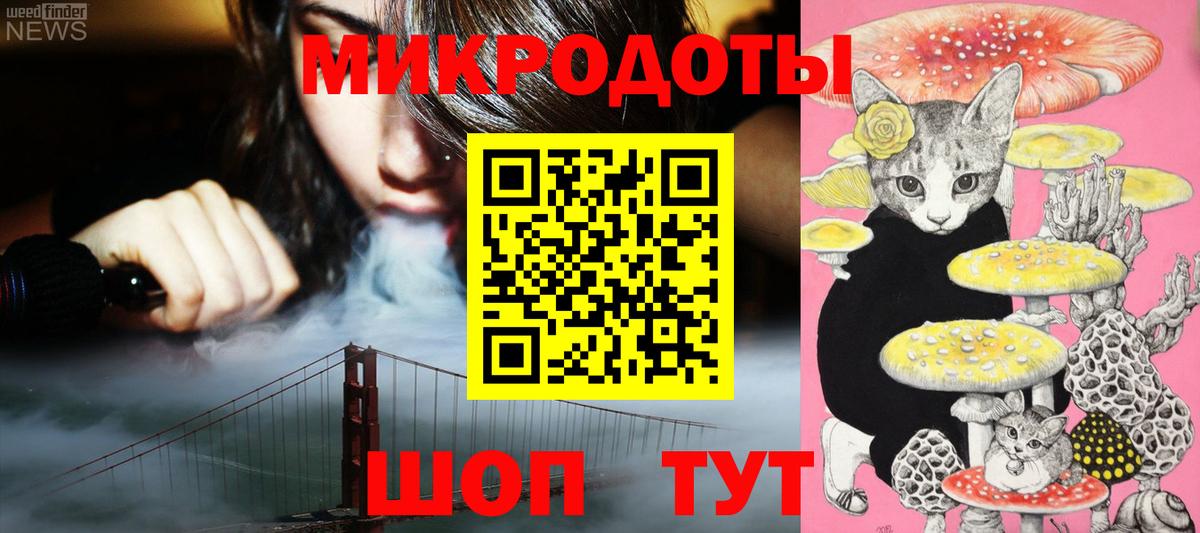 Галлюциногенные грибы прущие грибы Брянск