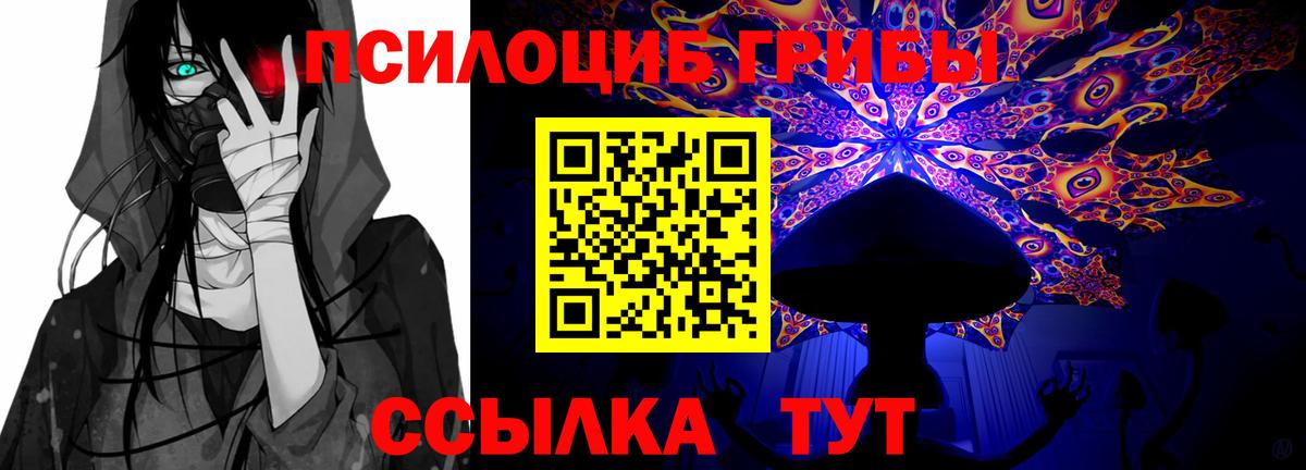 Брянск  Галлюциногенные грибы Psilocybine cubensis  Вход с VPN 